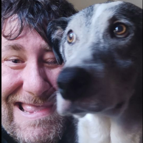 Ryan – Sitter / Overnight Care / Dog Walker